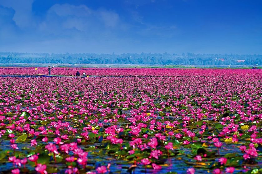 อุดรธานี หนองคาย บึงกาฬ